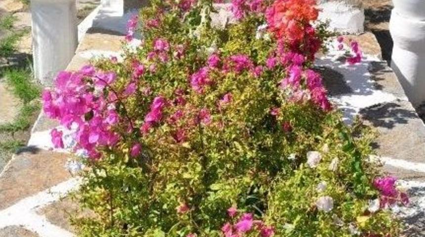 Halikarnas Balık&ccedil;ısı Bodrum&rsquo;da Anılacak