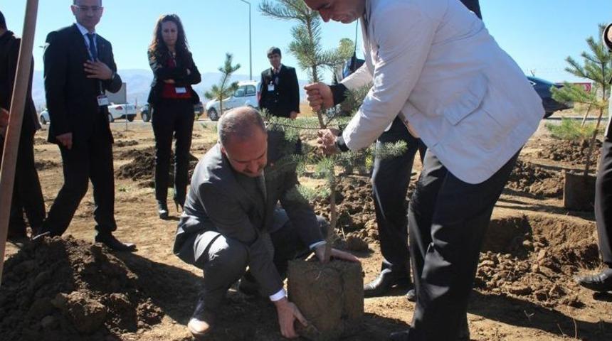 Muş Havalimanı'na 3500 Ağa&ccedil; Dikildi