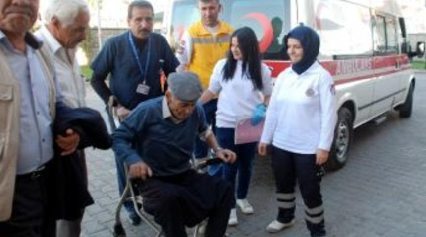 Asmayı Budarken D&uuml;şt&uuml;