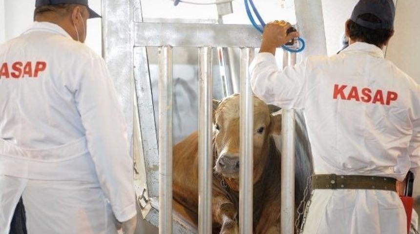 Altındağ&rsquo;da &Uuml;&ccedil; Yerde Kesim Yapılabilecek