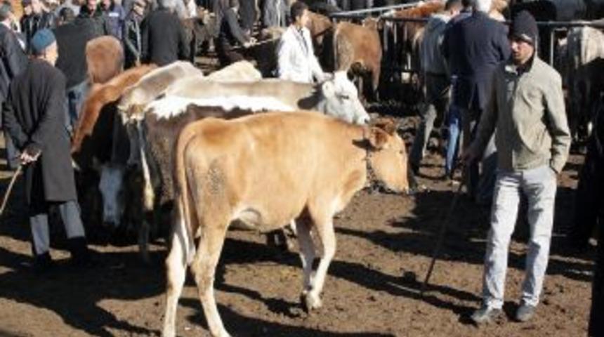 İl Dışına Hayvan Sevkleri Azalınca Satışlar Durma Noktasına Geldi