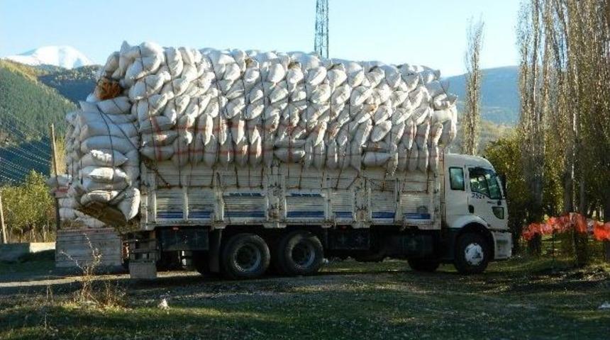 Saman Tırları Telefon Direklerini Kırdı