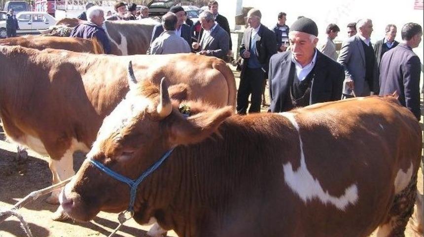 Kurbanlık Pazarı Canlandı