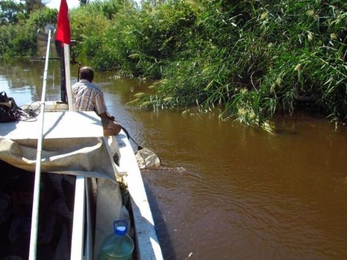 B&uuml;y&uuml;k Menderes Nehri&rsquo;ndeki Kirlilik, Balık &Ouml;l&uuml;mlerinin Başlıca Nedeni