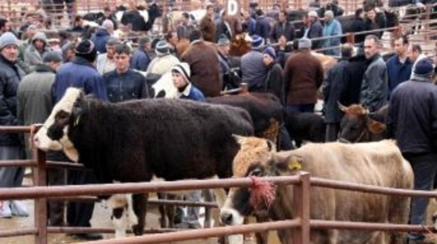Kurban Bayramı &Ouml;ncesinde Hayvan Pazarı Hareketlendi