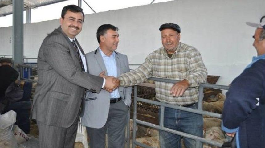 Kırkağa&ccedil;lı Kurban Satıcıları, Siyaset&ccedil;ilere Kurbanlık Satamadı
