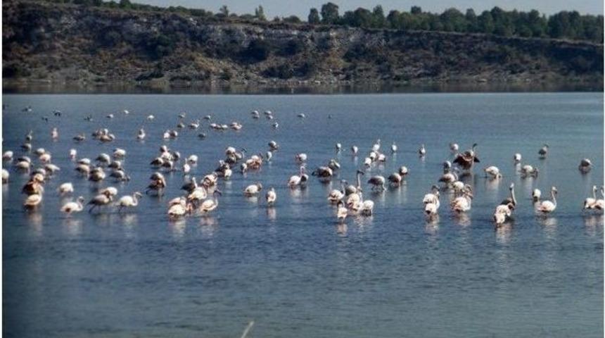 Kuş Cennetine Su Takviyesi, Kuşları Geri Getirdi