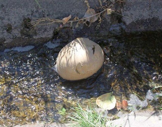 Erzurum&rsquo;da Esrar Operasyonu 2