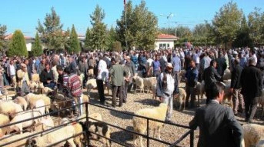 Sarıg&ouml;l Belediye Canlı Hayvan Pazarı, Arefe G&uuml;n&uuml;n Kadar A&ccedil;ık