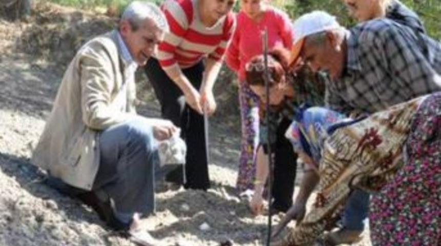 K&ouml;yl&uuml;lere Nergis Ve S&uuml;mb&uuml;l Soğanı Dağıtıldı