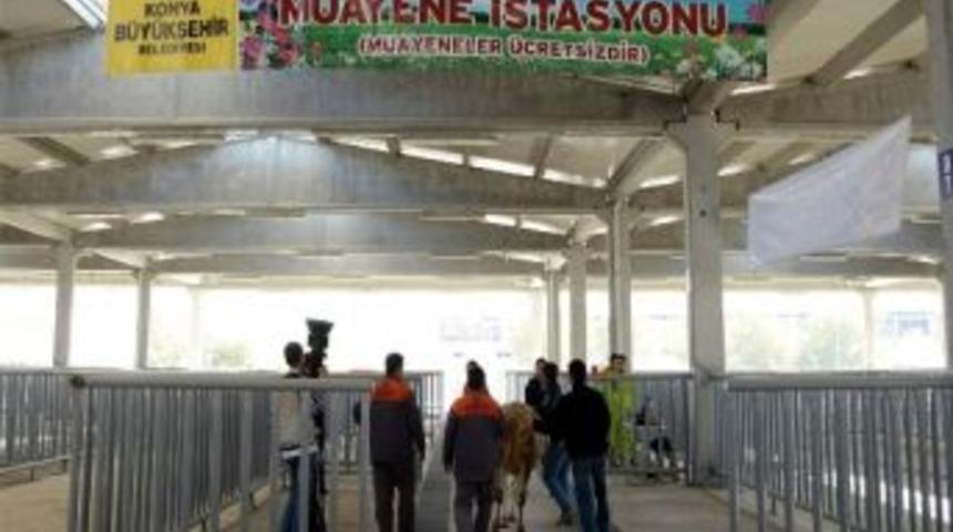 Konya B&uuml;y&uuml;kşehir Belediyesi Kurban Bayramı&rsquo;na Hazır