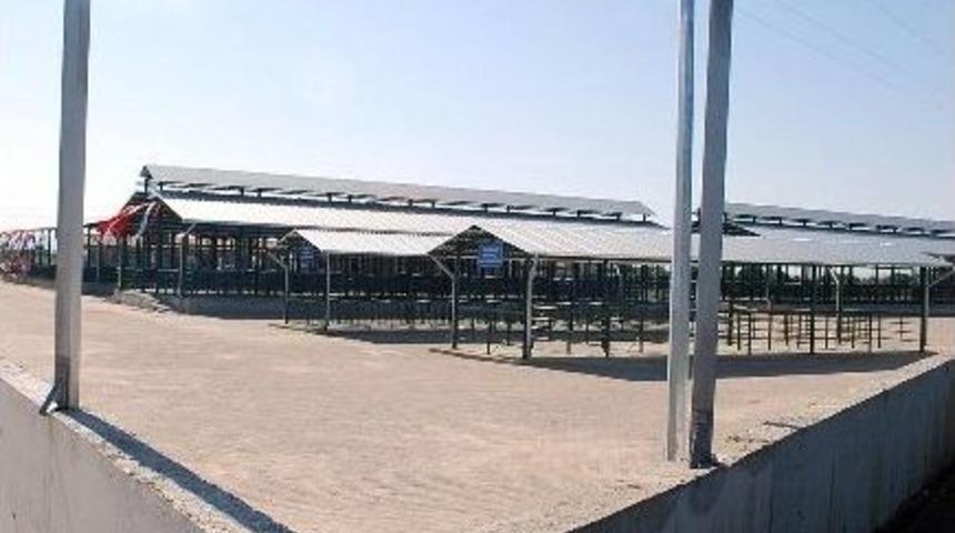 Salihli Hayvan Pazarı&rsquo;na Dolmuş Seferi