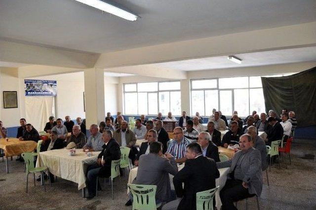 Mudanya’da 15 Bin Ton Zeytin Rekoltesi Bekleniyor