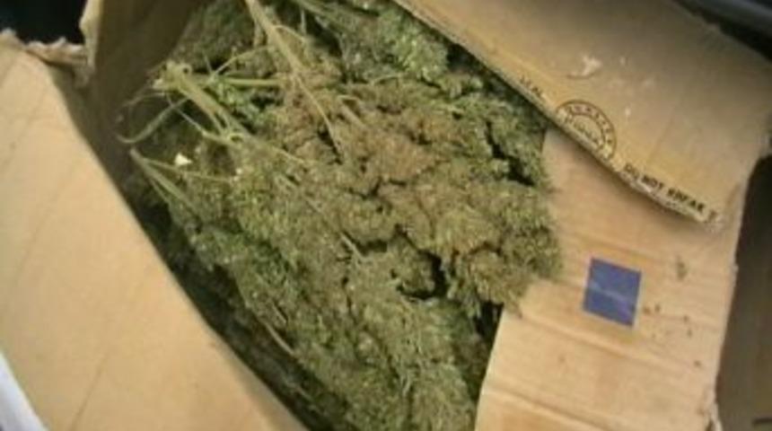 Birecik&rsquo;te 50 Kg Esrar Maddesi Ele Ge&ccedil;irildi