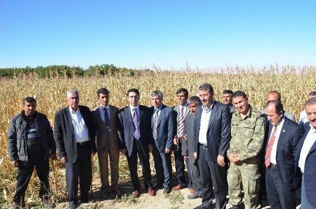 Darende’de Tarla Günü Düzenlendi