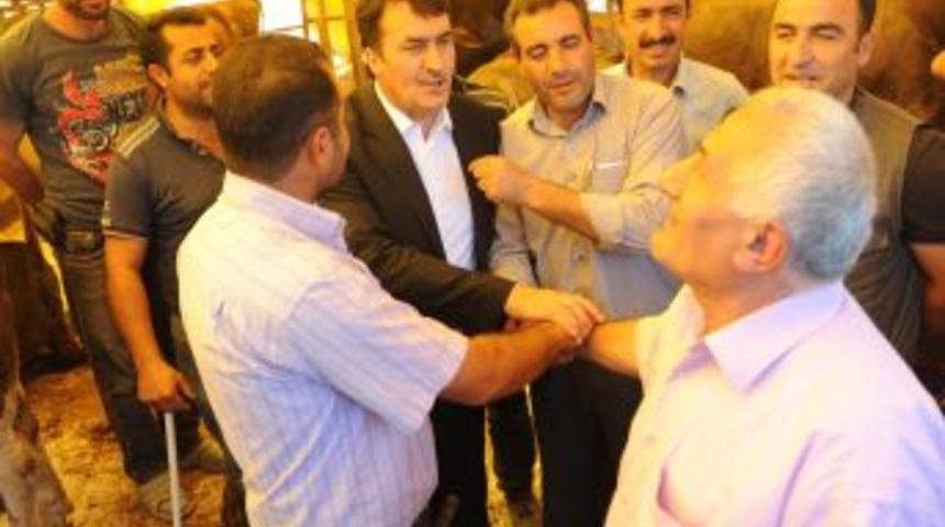 Kurbanlar Pazar Alanlarında Kesilecek