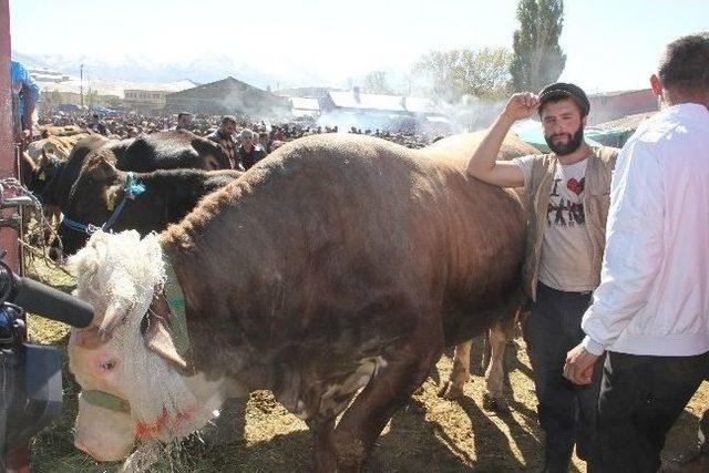 Erzurum Hayvan Pazarından İlginç Görüntüler