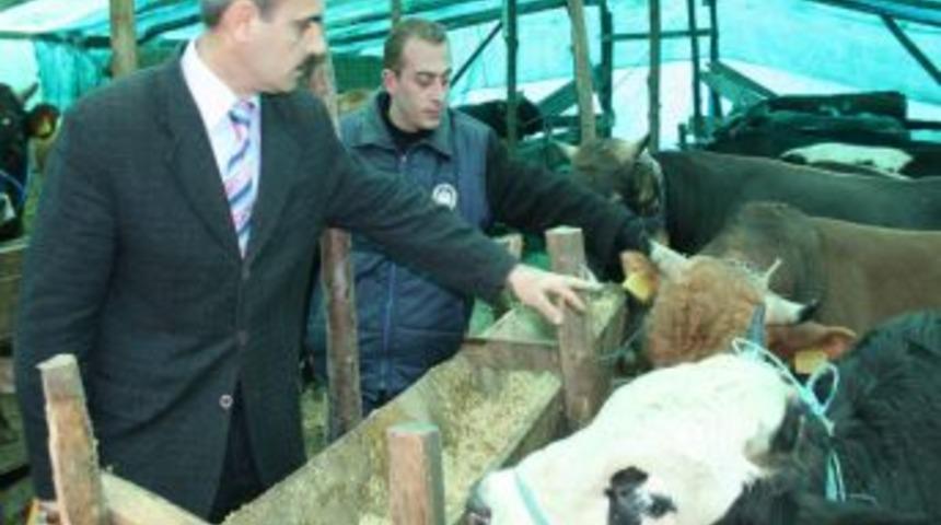 Kurban Bayramı Hazırlıkları Tamamlandı, Denetimler S&uuml;r&uuml;yor