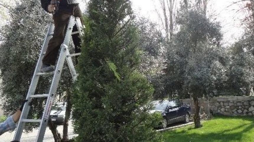 Denizli Belediyesi Kışa Hazırlanıyor