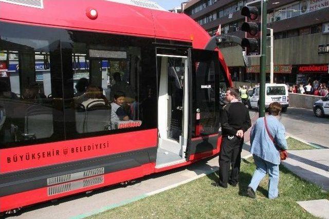  ipekb&ouml;ceği ne Park S&uuml;rprizi 1