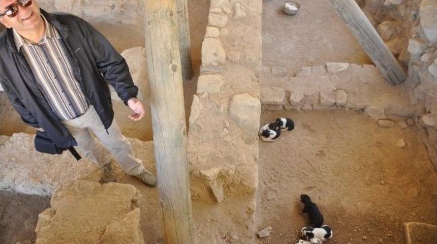 Hekatomnos Kazı &Ccedil;alışmalarıma Doğum Arası