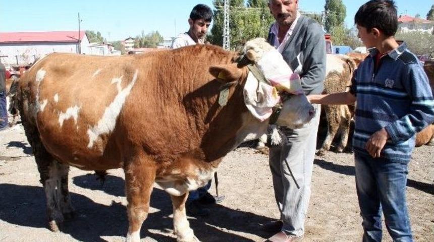 Kars&rsquo;ta Kurbanlıklara İlgi Yok