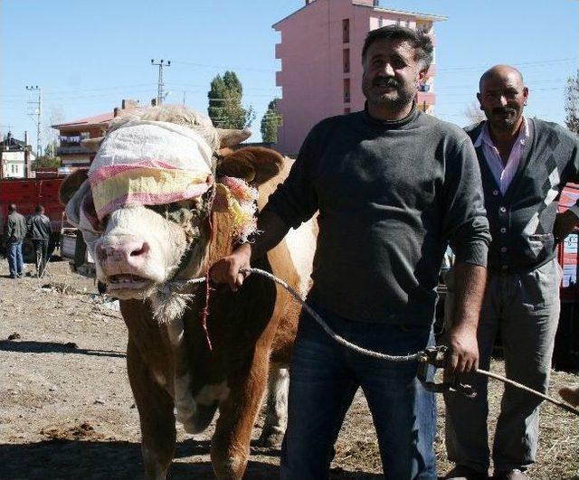 Kars’ta Kurbanlıklara İlgi Yok