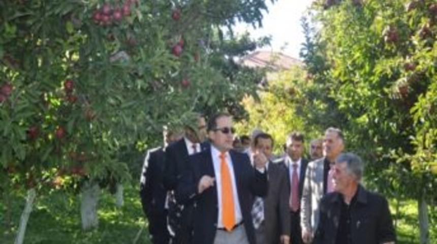 2. Elma Festivali Etkinlikleri Başladı