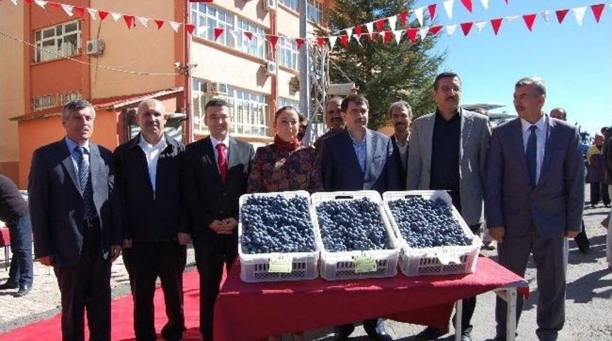 Arapgir&rsquo;de &Uuml;z&uuml;m Yarışması