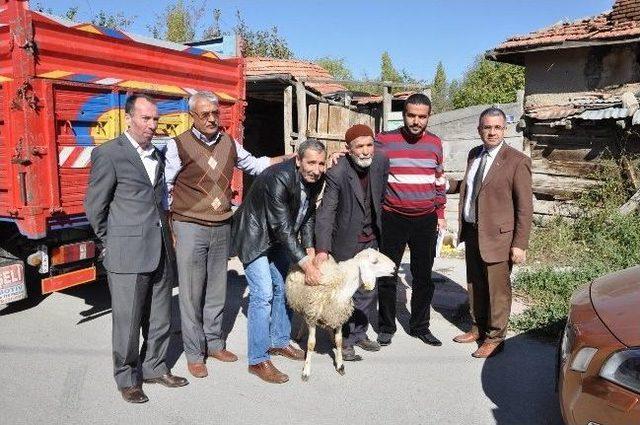 Mhp Sorgun İlçe Teşkilatı 60 Yoksul Aileye Kurban Dağıttı