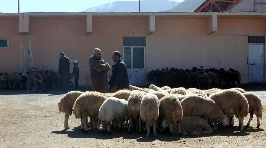 Kurban Bayramı'na Doğru