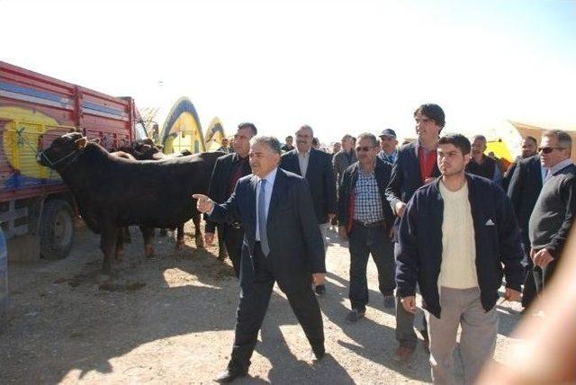 Melikgazi Belediyesi Kurban Bayramına Hazır