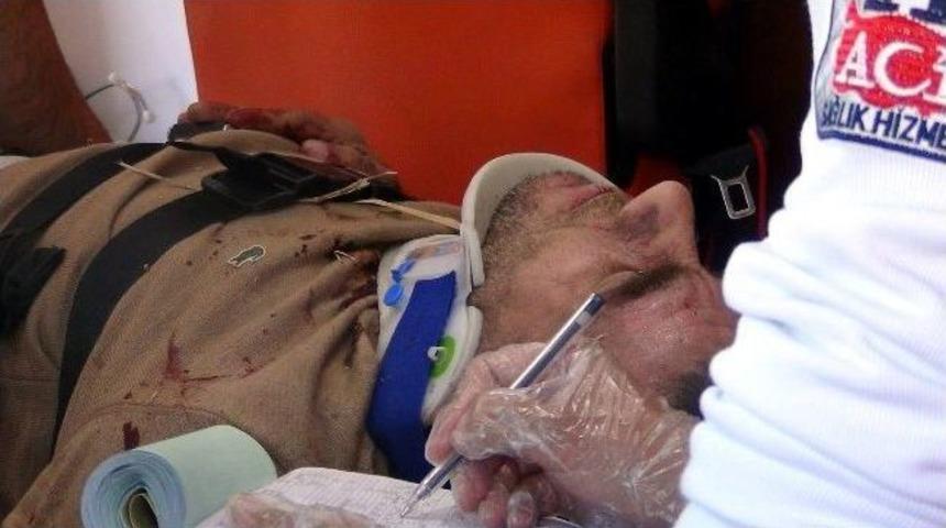 Arıyı &Ccedil;ıkarayım Derken Kaza Yaptı