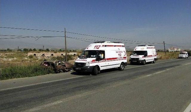 Arıyı &Ccedil;ıkarayım Derken Kaza Yaptı 1