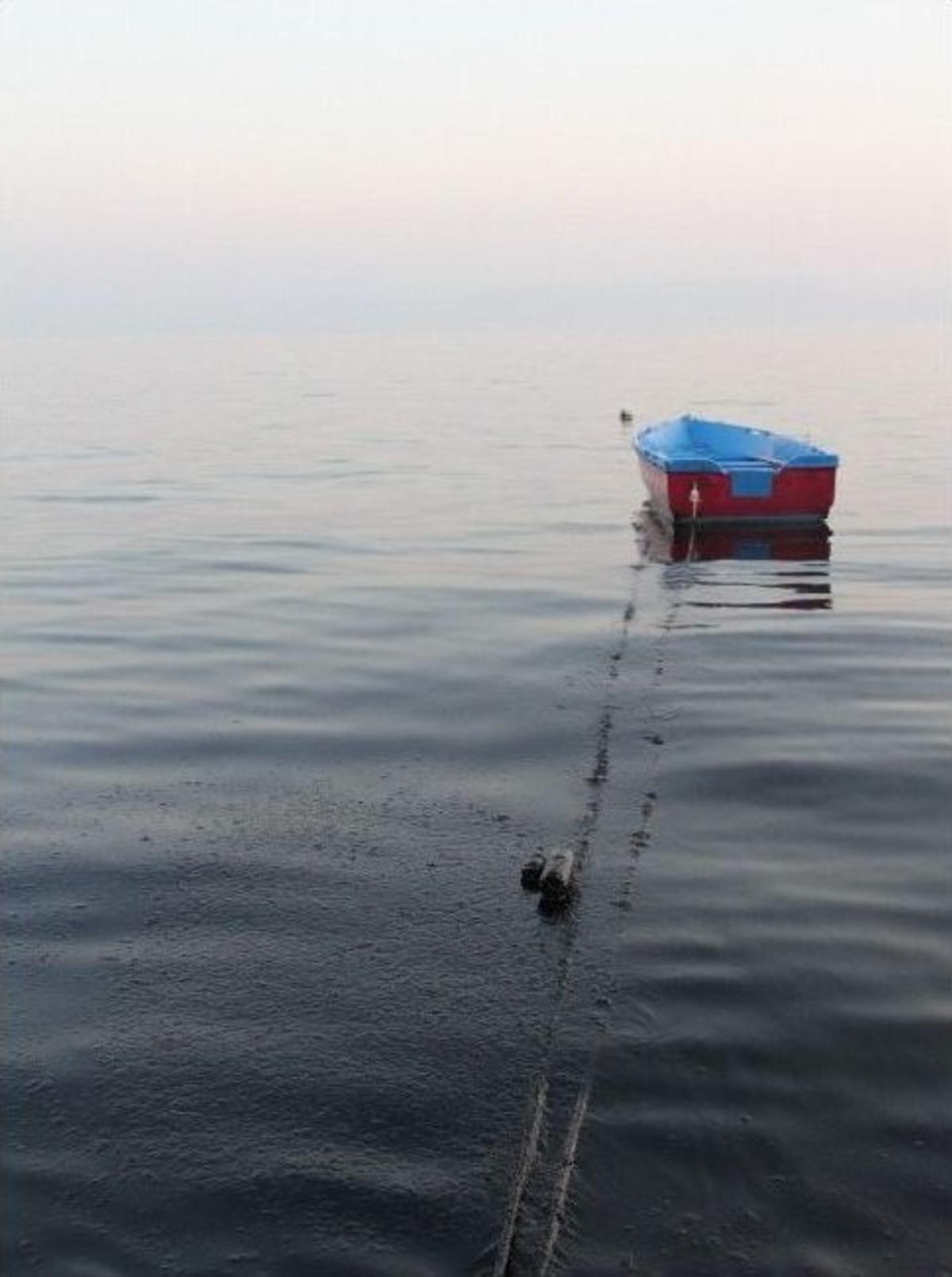 Gemlik'te deniz siyaha boyandı, balık&ccedil;ılar isyan etti