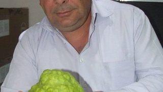 1 kilo 370 gramlık armut