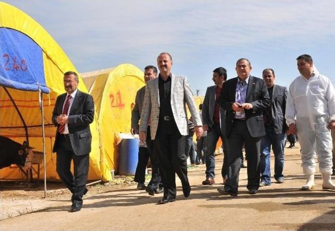 Mamak Belediye Başkanı Akg&uuml;l, Kurban Pazarını Denetledi