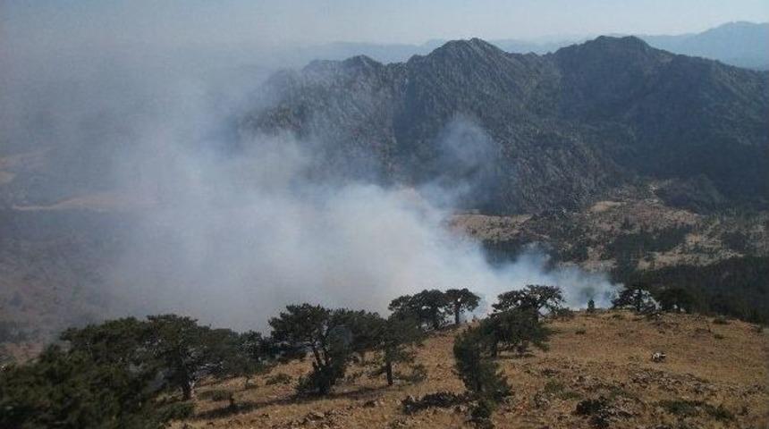 Derebucak&rsquo;ta Orman Yangınları S&ouml;nd&uuml;r&uuml;ld&uuml;
