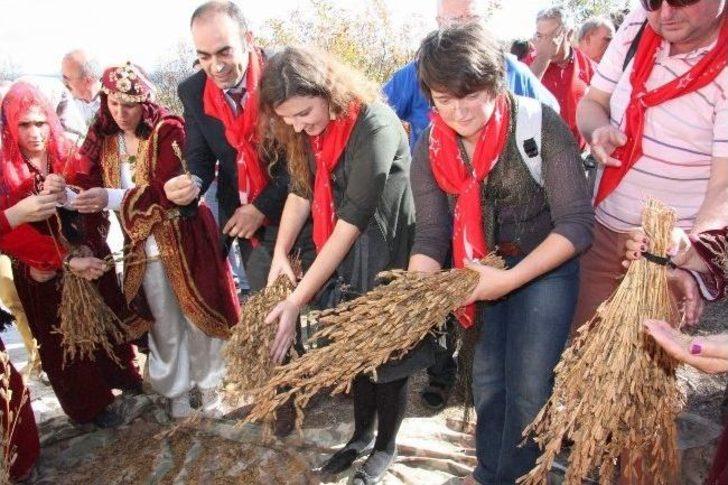 (özel Haber) Avrupa'dan Geldiler, At Nallayıp Demir Dövdüler G3