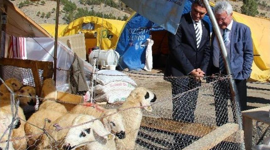 Umut Oran Mühye Kesim Alanını Ziyaret Etti