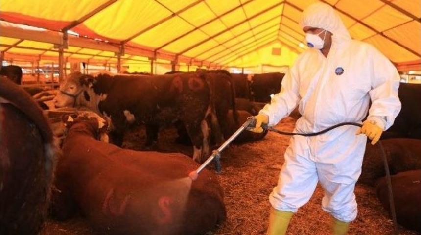 Başakşehir'de Temiz, Huzurlu Ve G&uuml;venli Bayram