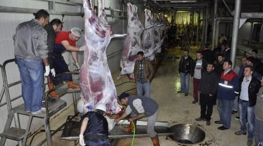 Ko-mek Kursiyerleri Kurban Timi Kurdu