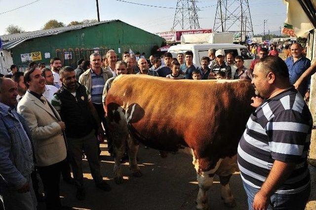 Başkan Özgen Keskin Kurban Pazarını Denetledi