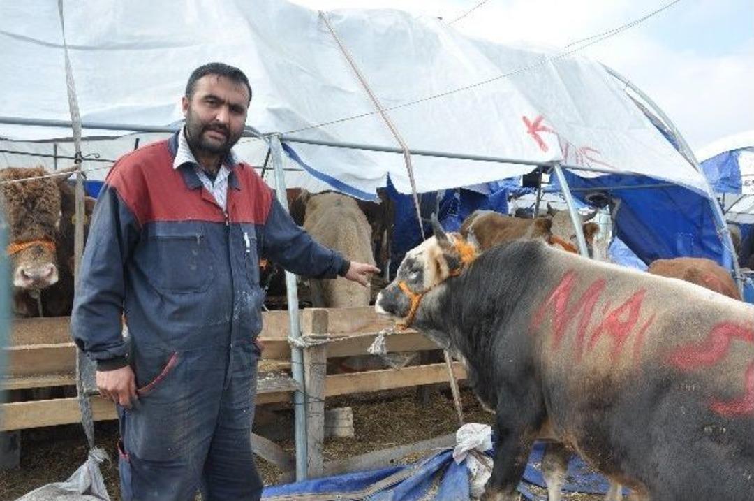 Vatandaş Erken Davrandı, Pazarda Kurban Kalmadı