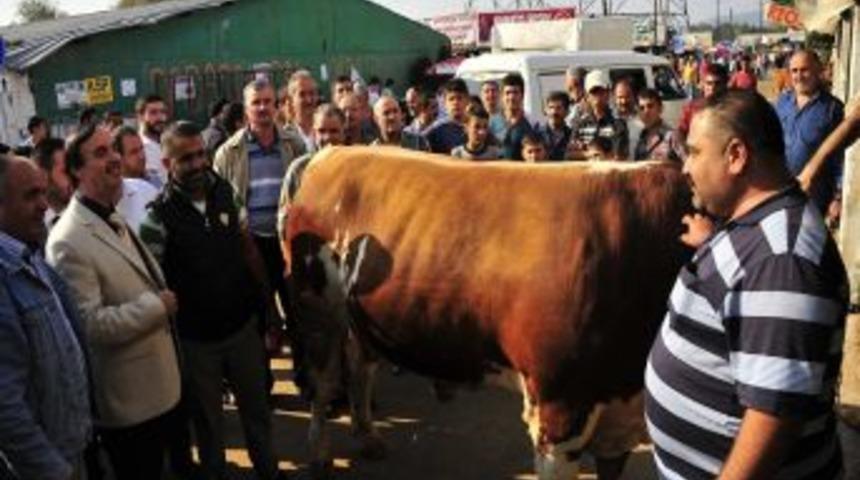 &Ouml;zgen Keskin, Kurban Pazarını Denetledi