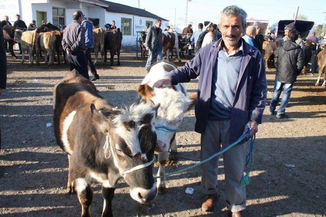 Suluova Kırmızı Et Üreticileri Birlik Başkanı Kodaman: