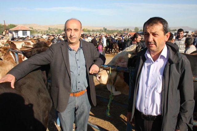 Suluova Kırmızı Et Üreticileri Birlik Başkanı Kodaman: