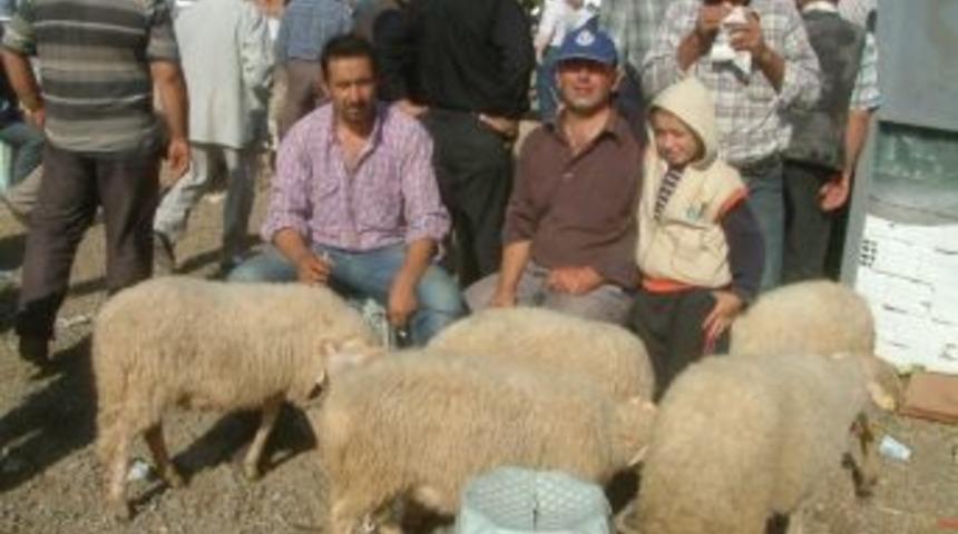 Havran&rsquo;da Kurbanlıklara İlgi Yok