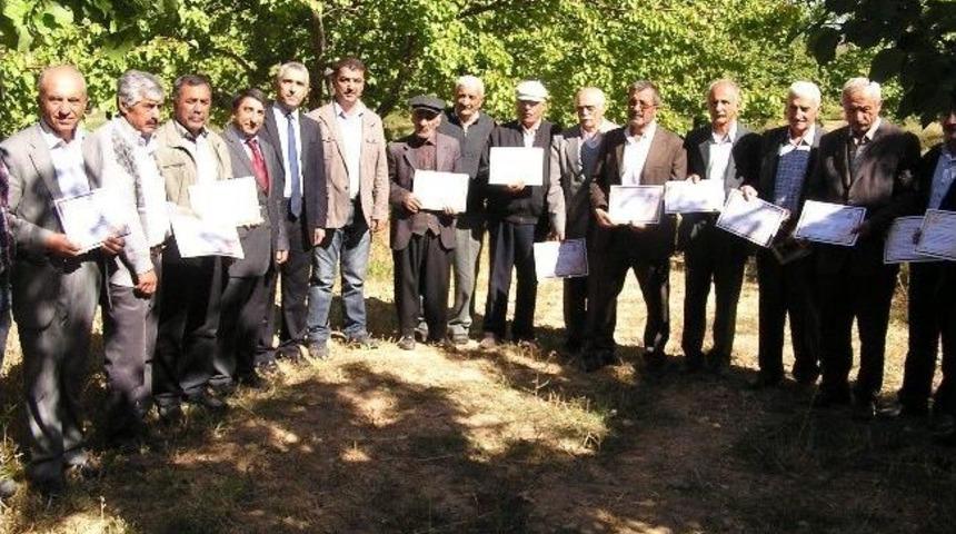 Kayısıda Modern &Uuml;retim Tekniklerinin Yaygınlaştırılması Projesi