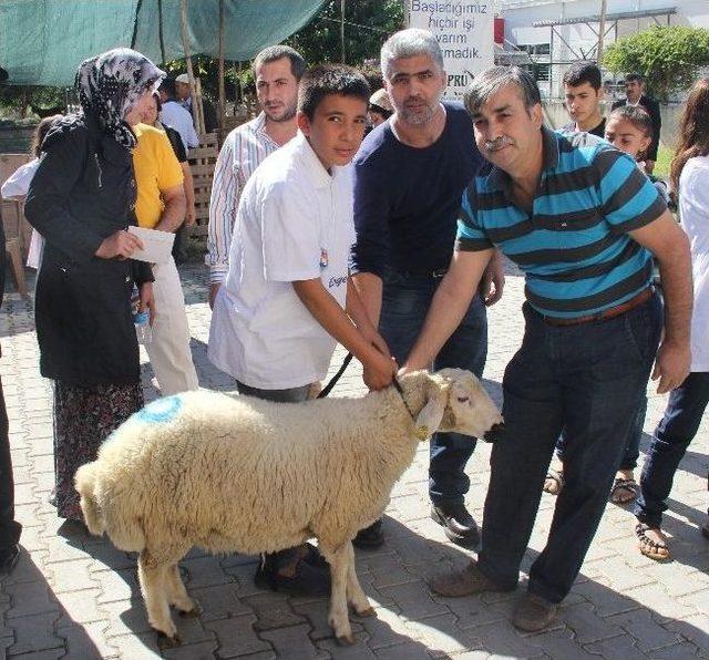 30 Yetime Hayırseverlerden Kurban Yardımı 1